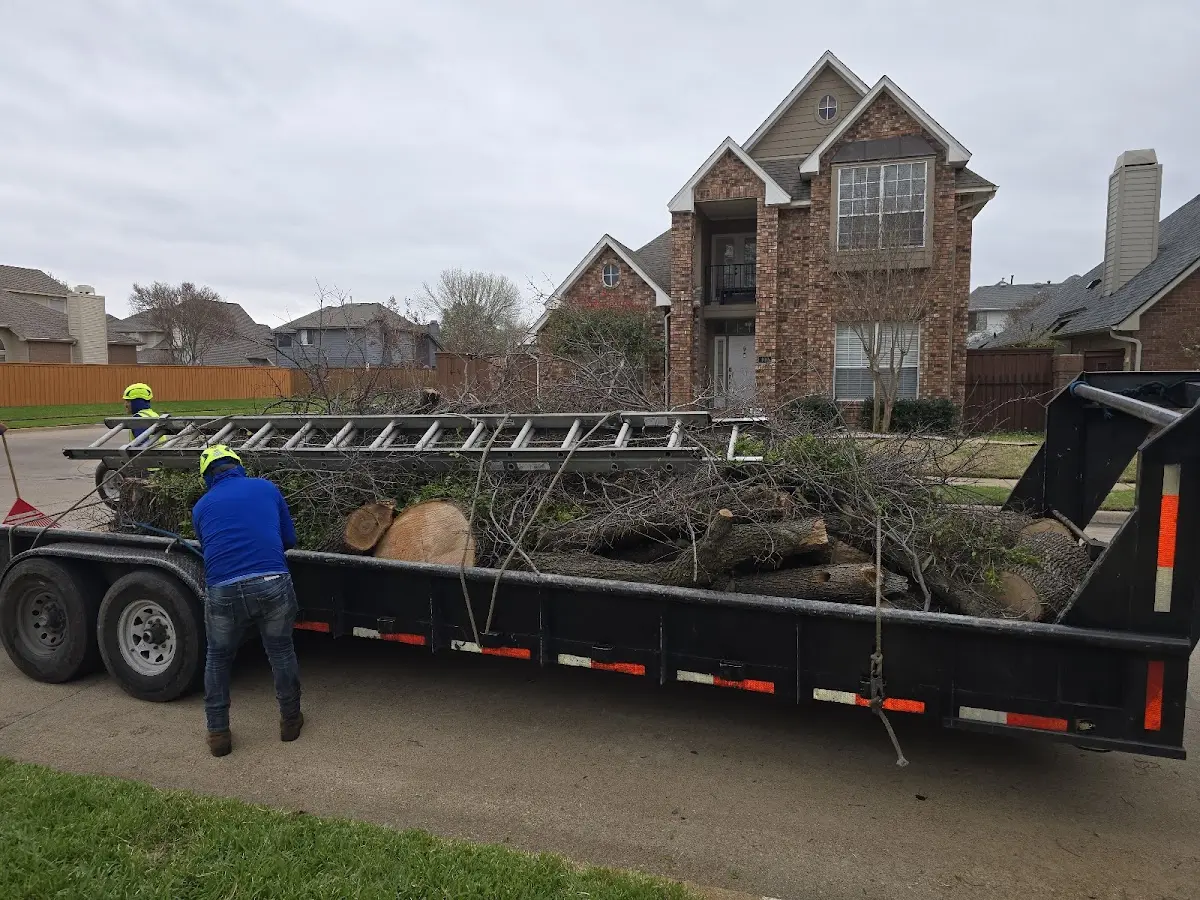 Expert Tree Removal with proper safety equipment in Raleigh